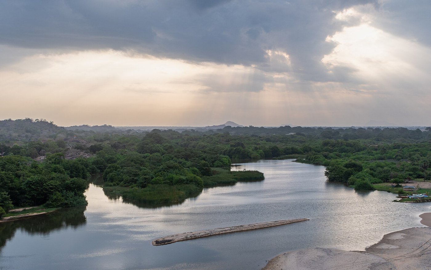 Lagoon Safari — East Coast Discovery