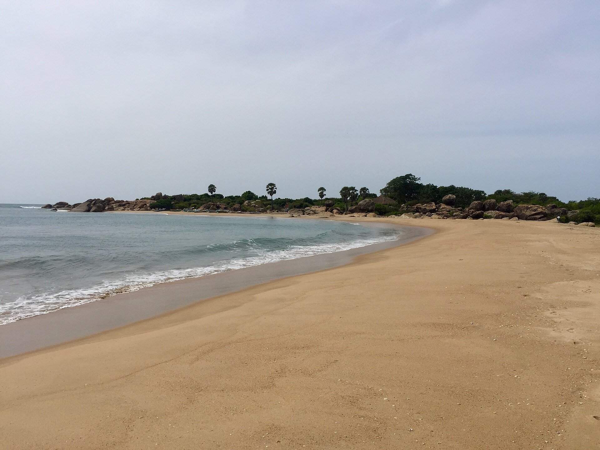 Surfers at Whiskey Point, Arugam Bay