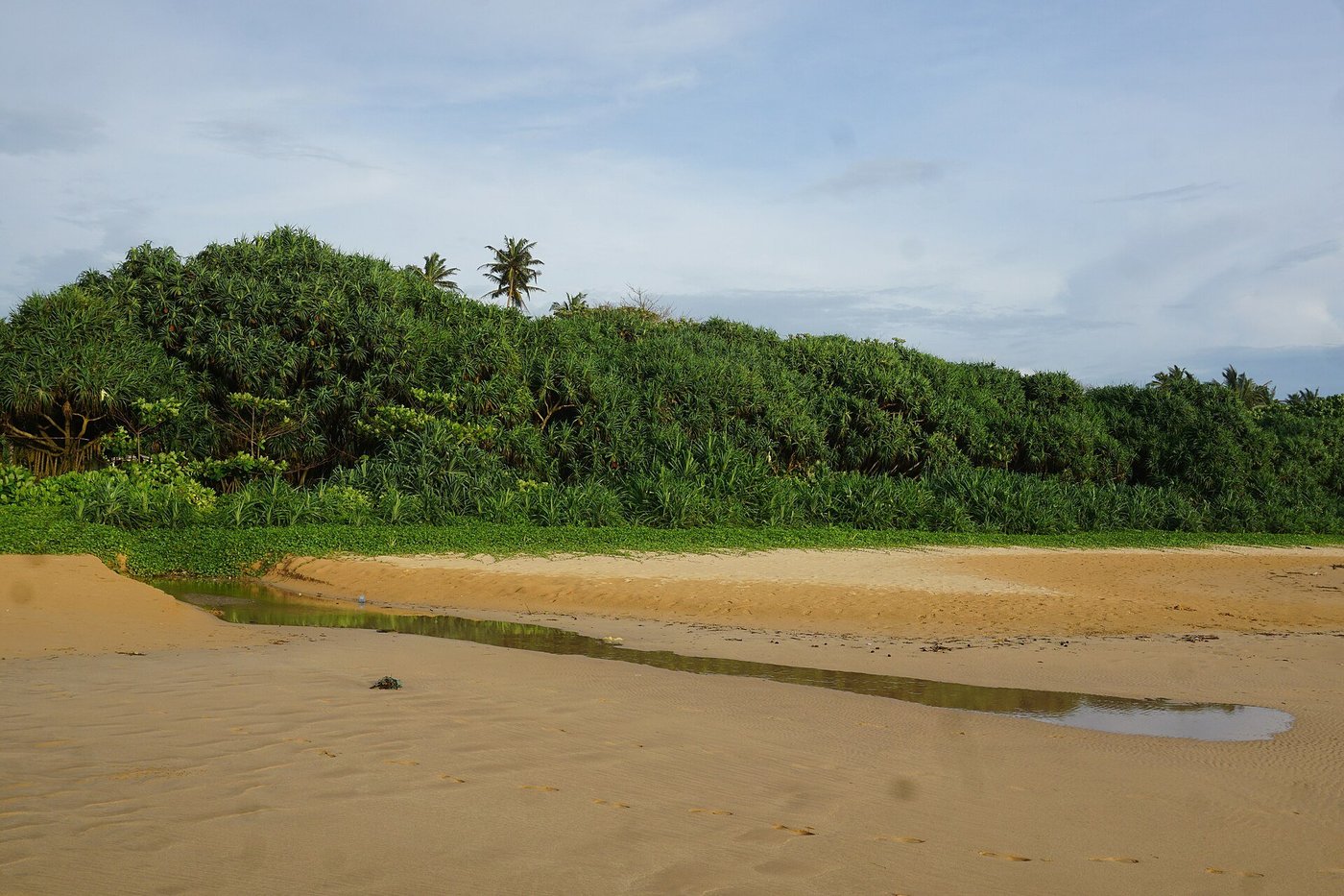 The wide sandy beach at Bentota