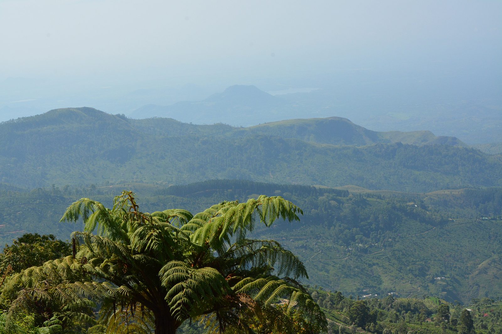 Lipton's Seat viewpoint above Haputale, near Ella, Sri Lanka