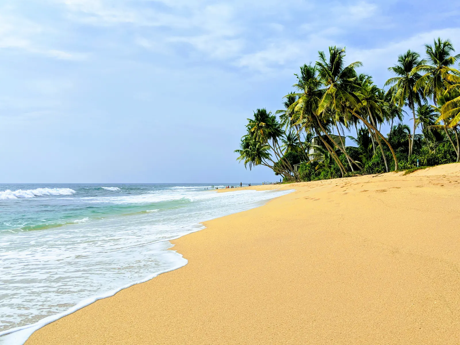 Golden sand beach and palm trees at Hikkaduwa, Sri Lanka