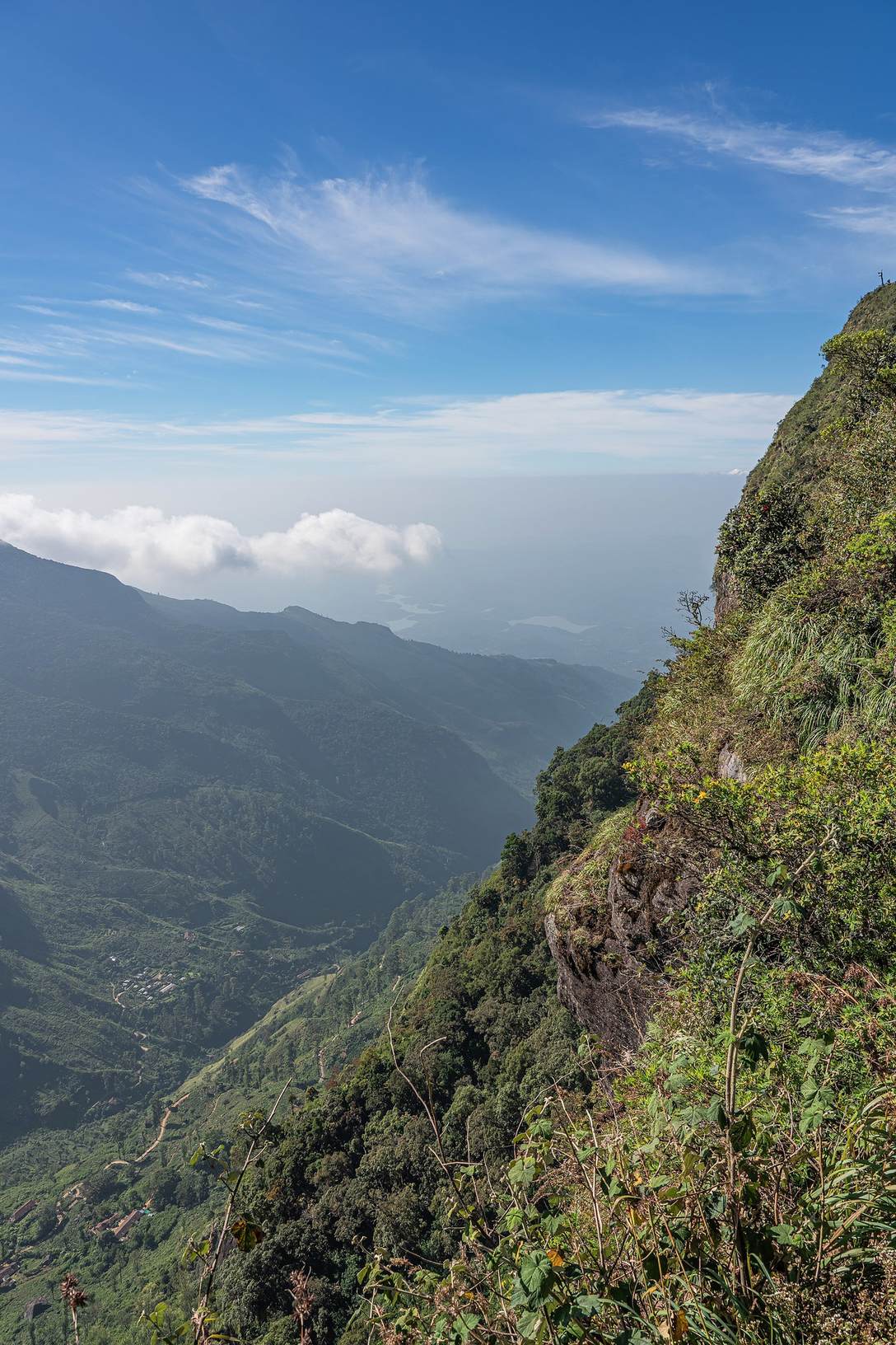 The dramatic cliff edge at World's End, Horton Plains National Park