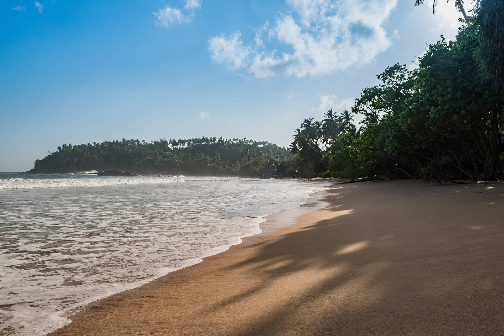 Aerial view of the curved beach at Mirissa