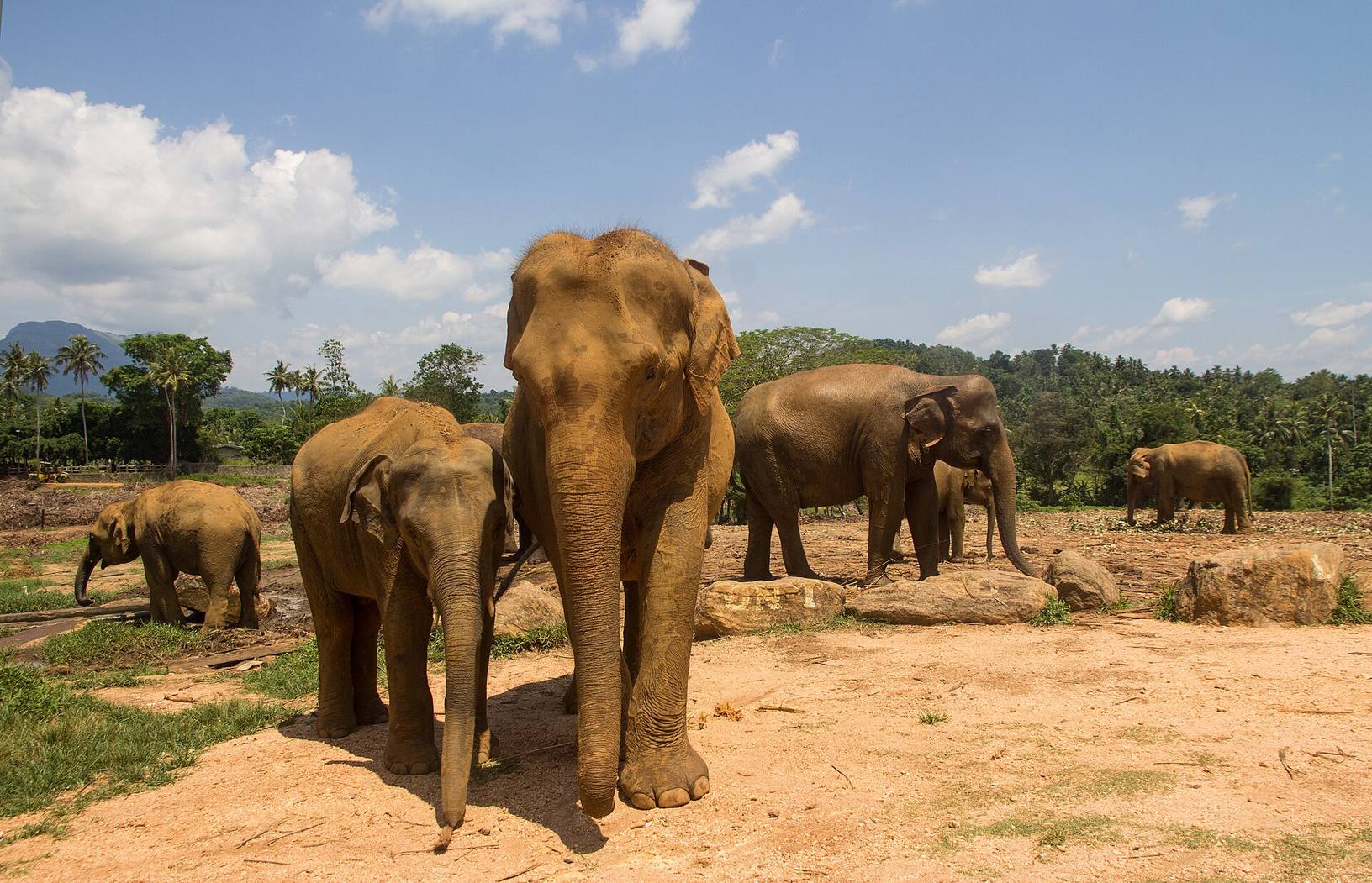 A family enjoying a Sri Lankan getaway