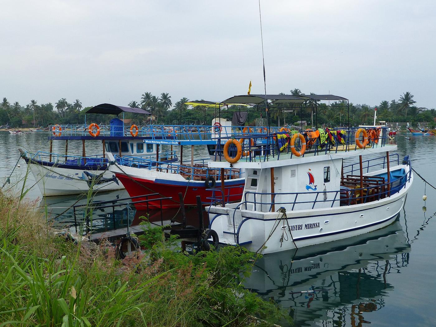 A whale-watching boat heading out from Mirissa