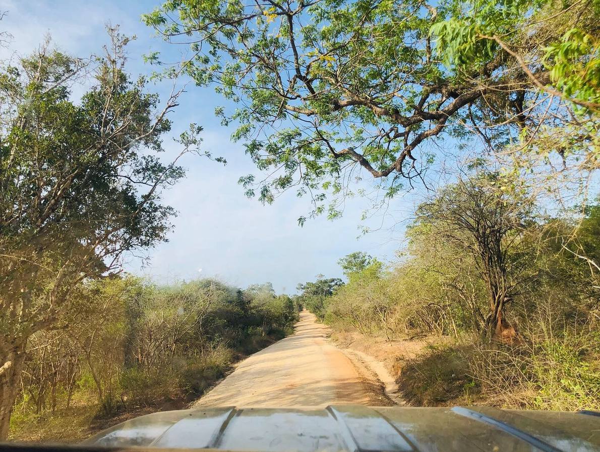 Yala safari — Grand Sri Lanka Tour